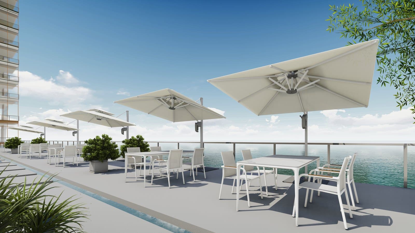 Aroha Dining Chairs